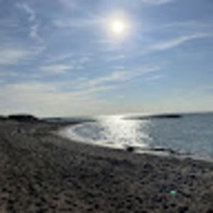 Meet your Posher, Samuel